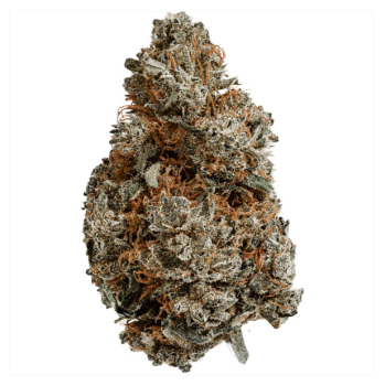 Aroma Blüten Blackberry 3g